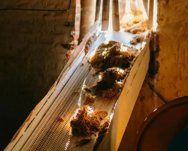 A close-up image of a wooden barrel labeled LYNCHBURG ZENI WHISKEY GOSP 65, situated indoors in what appears to be a brewery or winery setting